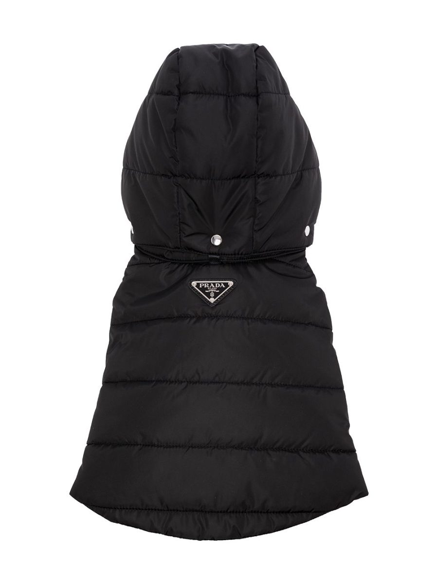 Galleria foto 'Abbigliamento e Accessori per il tuo Cane: 5 Pet Collection di Lusso griffate!' - foto 3