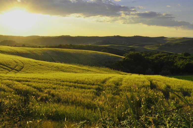 campagne senesi