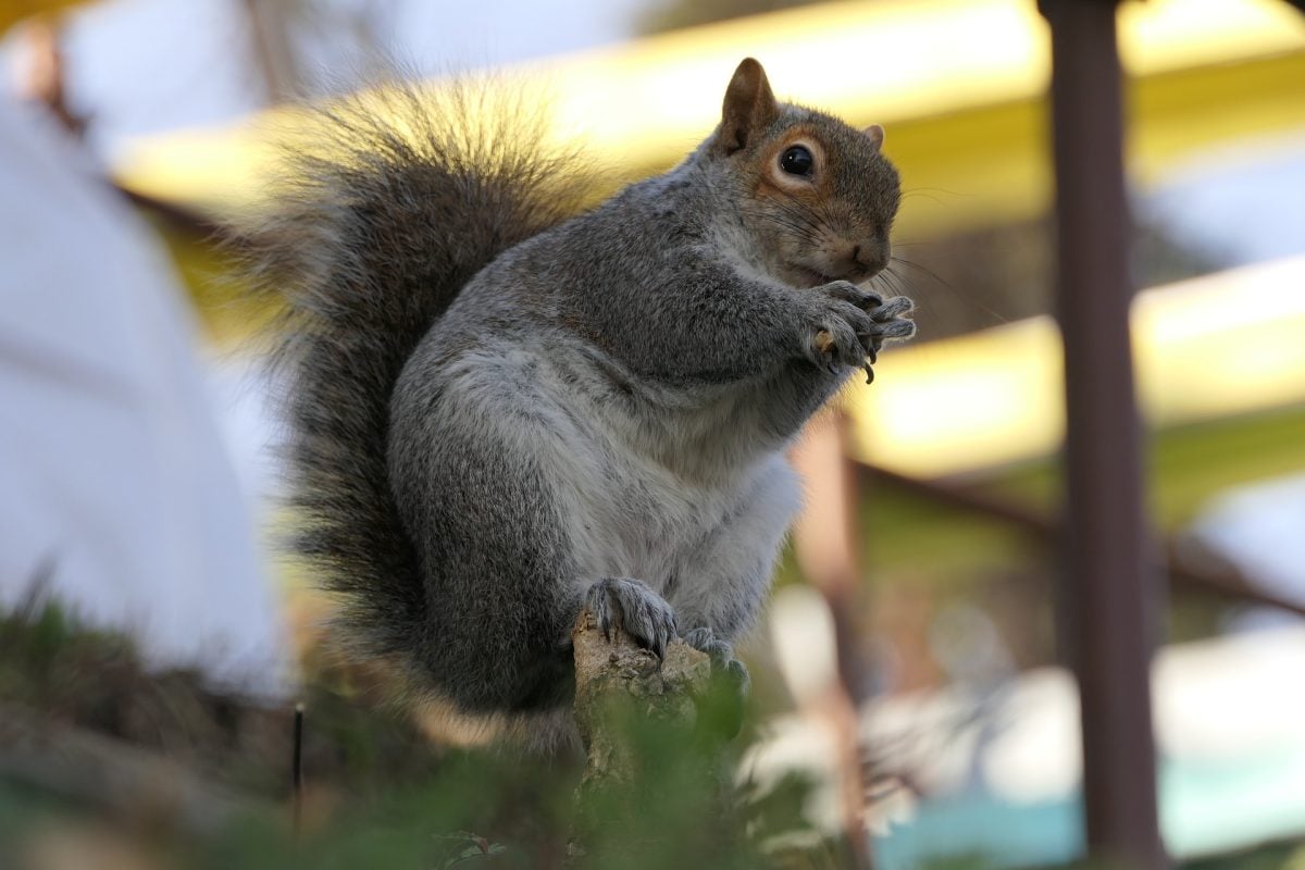 Galleria foto 'Torino: la Top 6 dei posti da vedere e delle esperienze da fare nella città piemontese' - foto 4