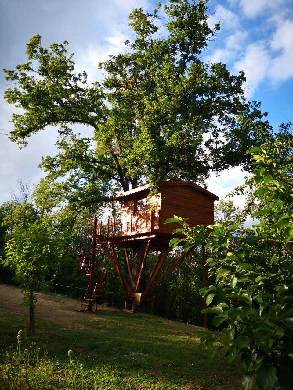 Galleria foto 'Sogni di dormire su una Case sull’albero? 5 proposte da favola tutte italiane' - foto 4