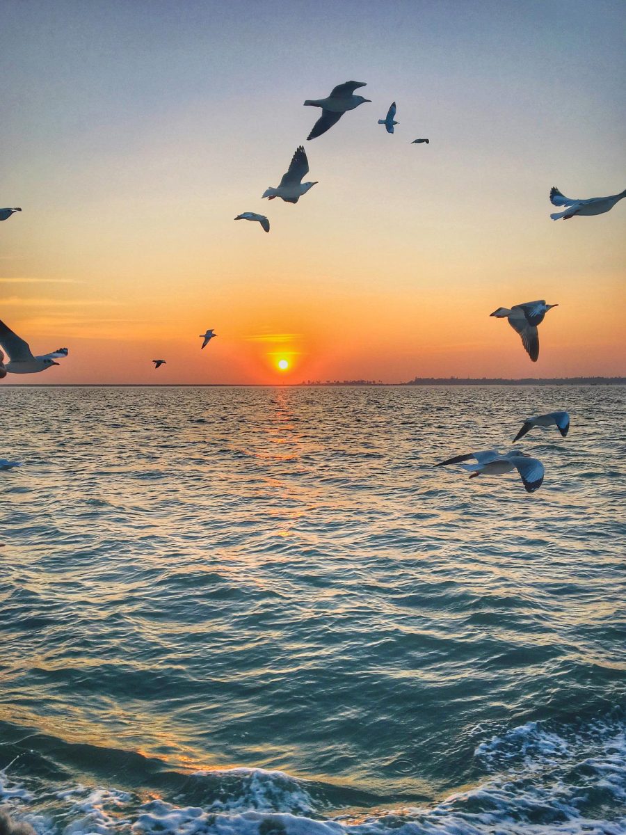 Galleria foto 'Le migliori 4 spiagge d’Italia per fare Windsurf e Kitesurf. Da non perdere!' - foto 4