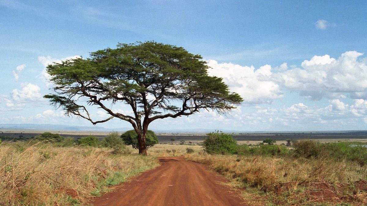 Kenya: 5 luoghi imperdibili per un viaggio pazzesco in terra africana