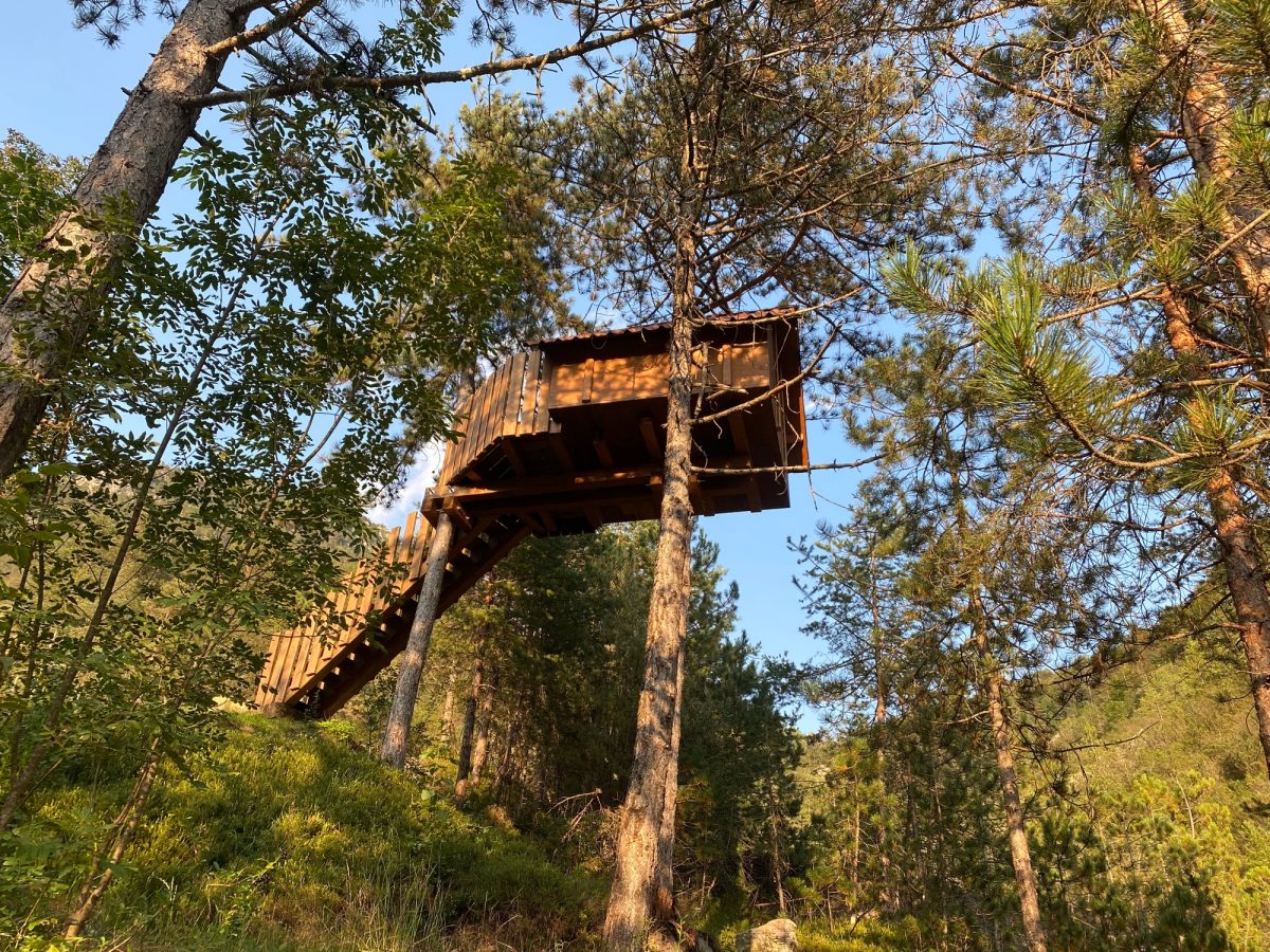 Galleria foto 'Sogni di dormire su una Case sull’albero? 5 proposte da favola tutte italiane' - foto 1