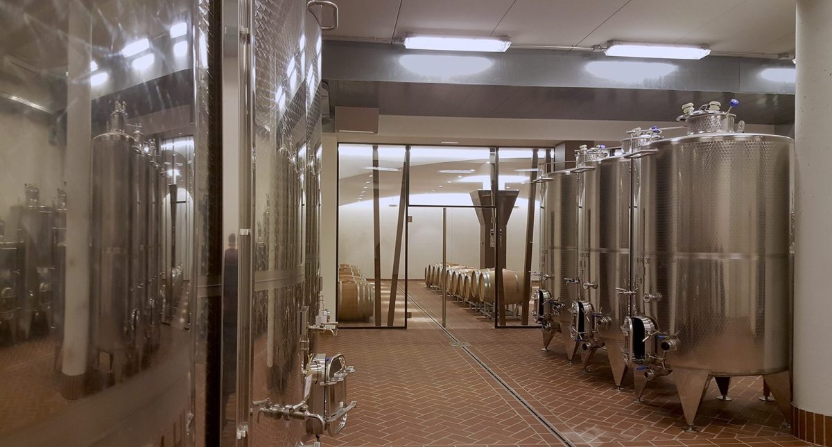 Galleria foto 'Cantine e Vigne da visitare assolutamente: le 5 più belle del Veneto!' - foto 5