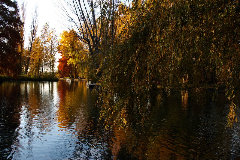 Galleria foto 'I 5 boschi più belli d’Italia dove godersi una passeggiata tra i colori dell’autunno' - foto 5
