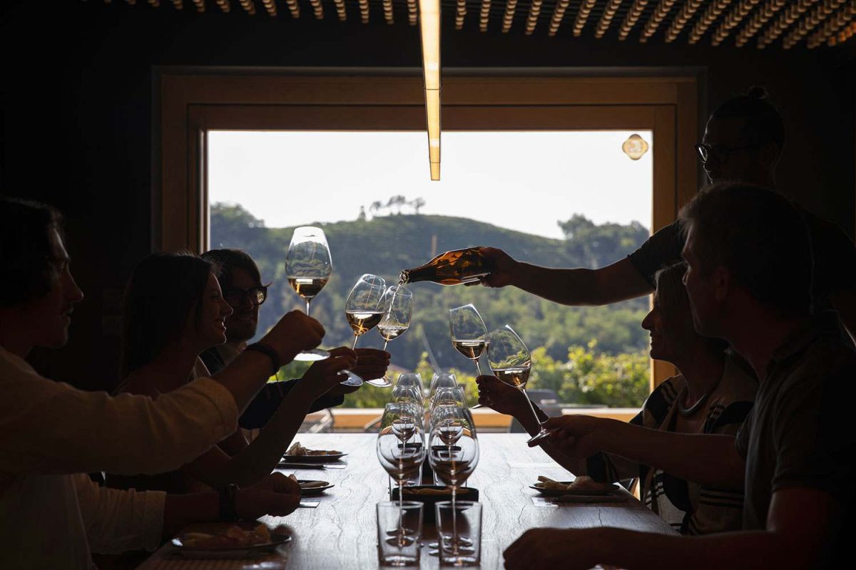 Galleria foto 'Cantine e Vigne da visitare assolutamente: le 5 più belle del Veneto!' - foto 1