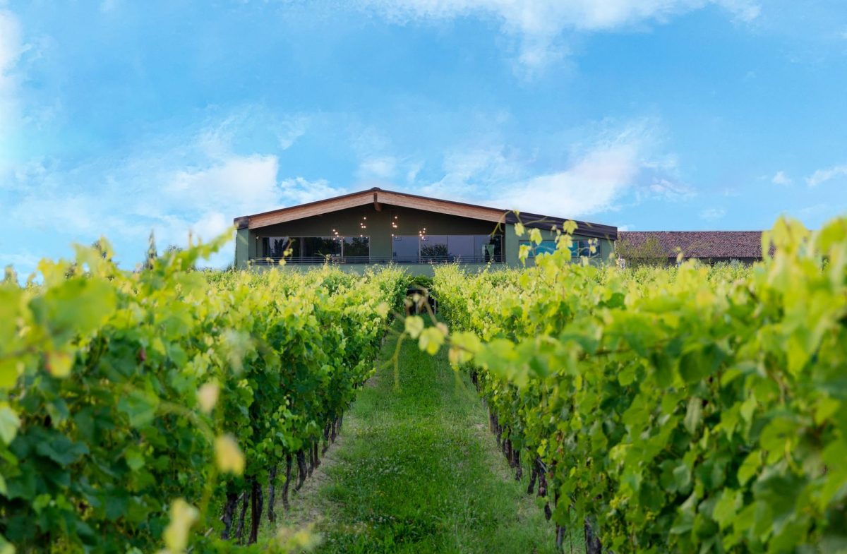 Galleria foto 'Cantine e Vigne da visitare assolutamente: le 5 più belle del Veneto!' - foto 3