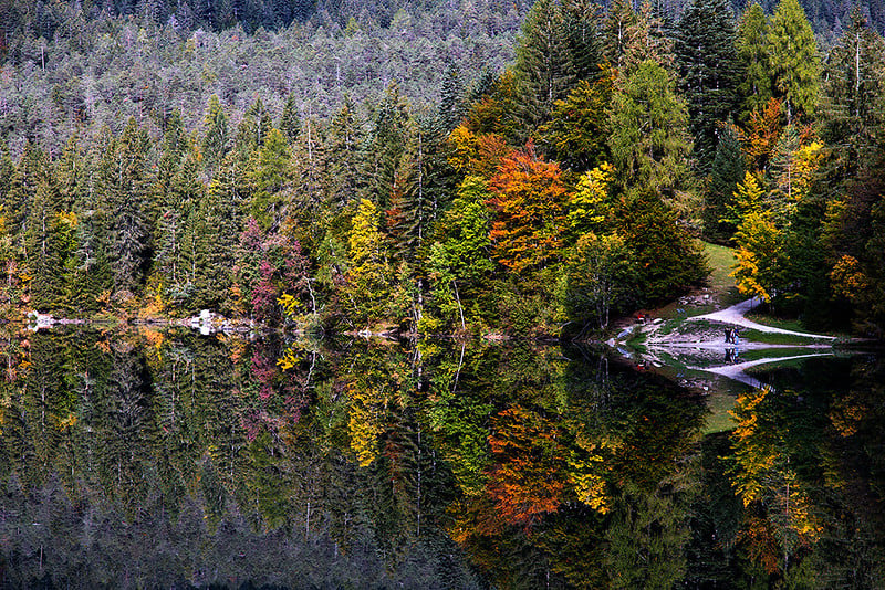 Galleria foto 'I 5 boschi più belli d’Italia dove godersi una passeggiata tra i colori dell’autunno' - foto 6