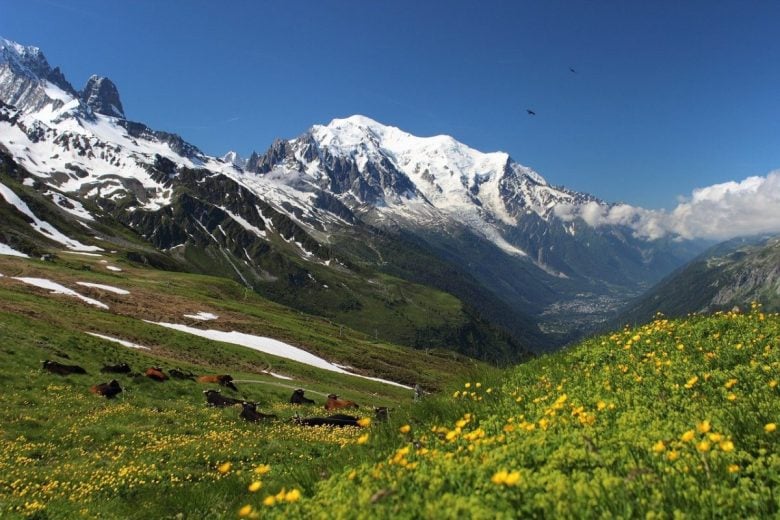 monte bianco panorama