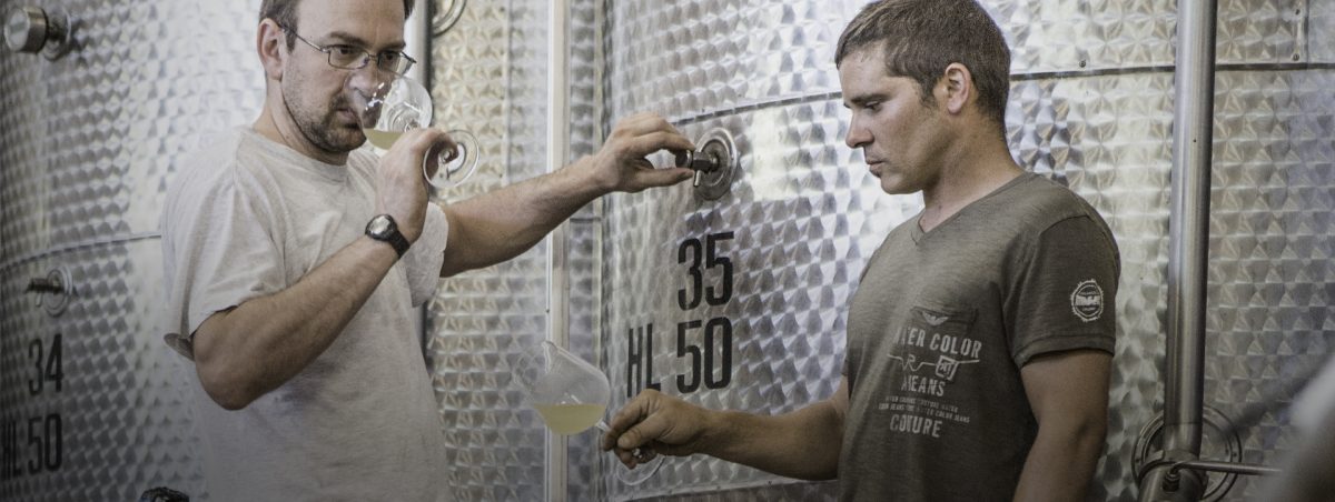Galleria foto 'Cantine e Vigne da visitare assolutamente: le 5 più belle del Veneto!' - foto 4