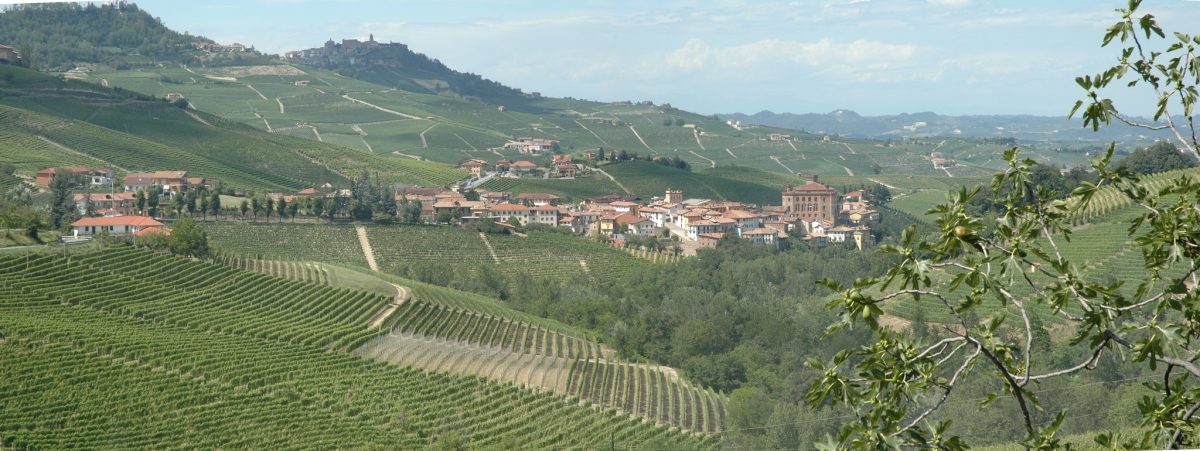 Galleria foto 'I 5 Paesi più belli delle Langhe piemontesi. Da non perdere!' - foto 2