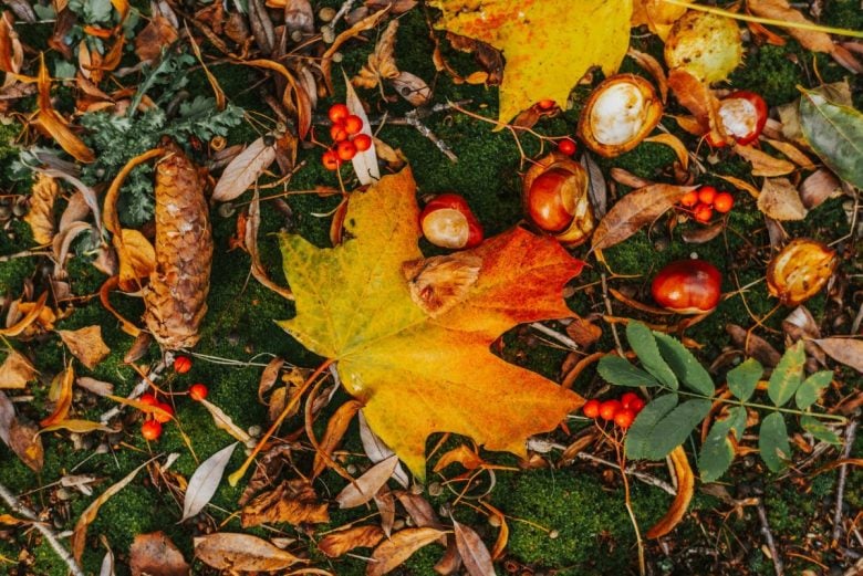 autunno caduta capelli