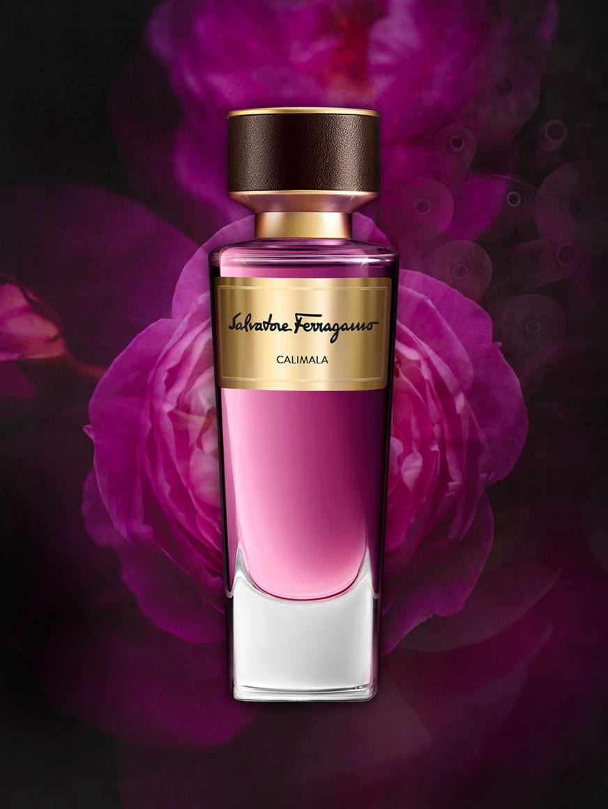 Galleria foto 'Il Profumo della Toscana secondo Ferragamo: 12 Fragranze che parlano di una terra baciata dall’arte e dalla natura' - foto 1