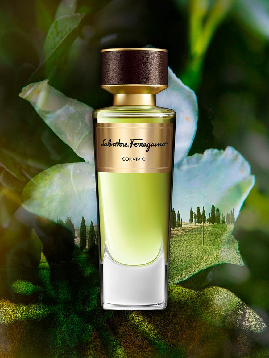 Galleria foto 'Il Profumo della Toscana secondo Ferragamo: 12 Fragranze che parlano di una terra baciata dall’arte e dalla natura' - foto 2