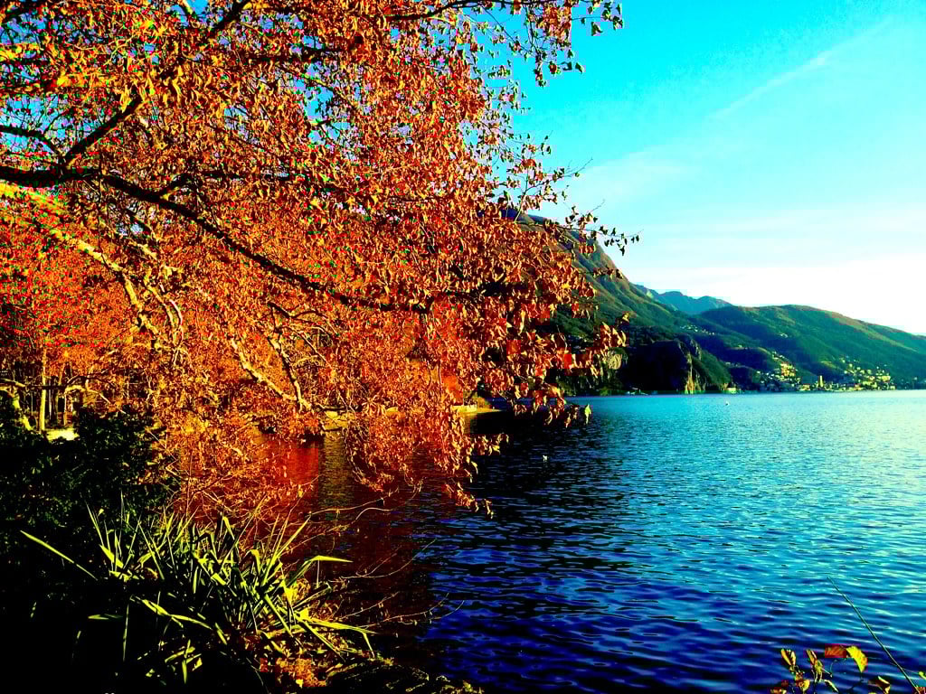 Galleria foto 'Città Autunnali: 5 mete Europee da visitare assolutamente nella stagione del foliage' - foto 3