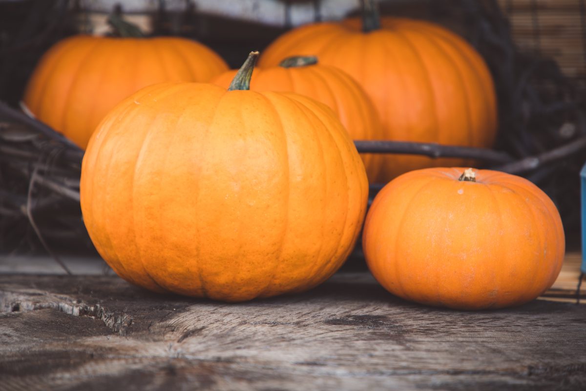 maschera zucca