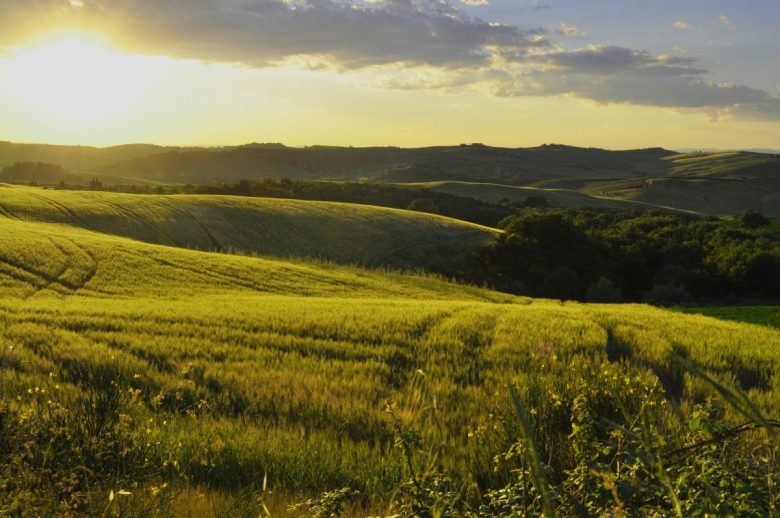 campagna siena