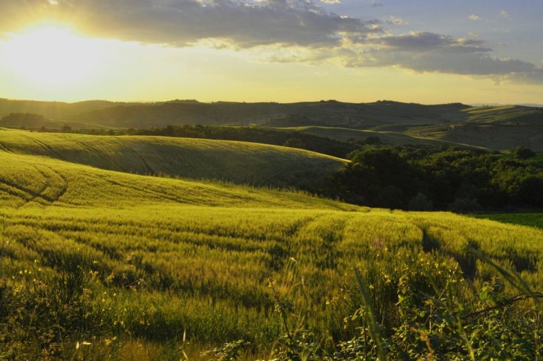 campagna siena