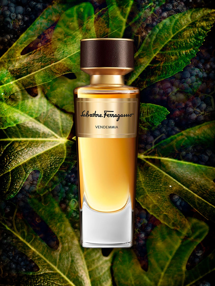 Galleria foto 'Il Profumo della Toscana secondo Ferragamo: 12 Fragranze che parlano di una terra baciata dall’arte e dalla natura' - foto 4