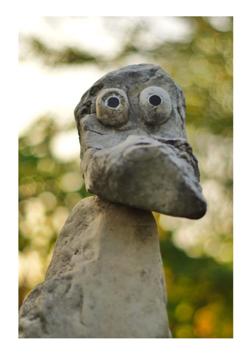 Galleria foto 'La Strada del Prosecco: 7 Borghi e attrazioni da non perdere!' - foto 2