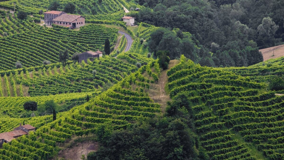 La Strada del Prosecco: 7 Borghi e attrazioni da non perdere!