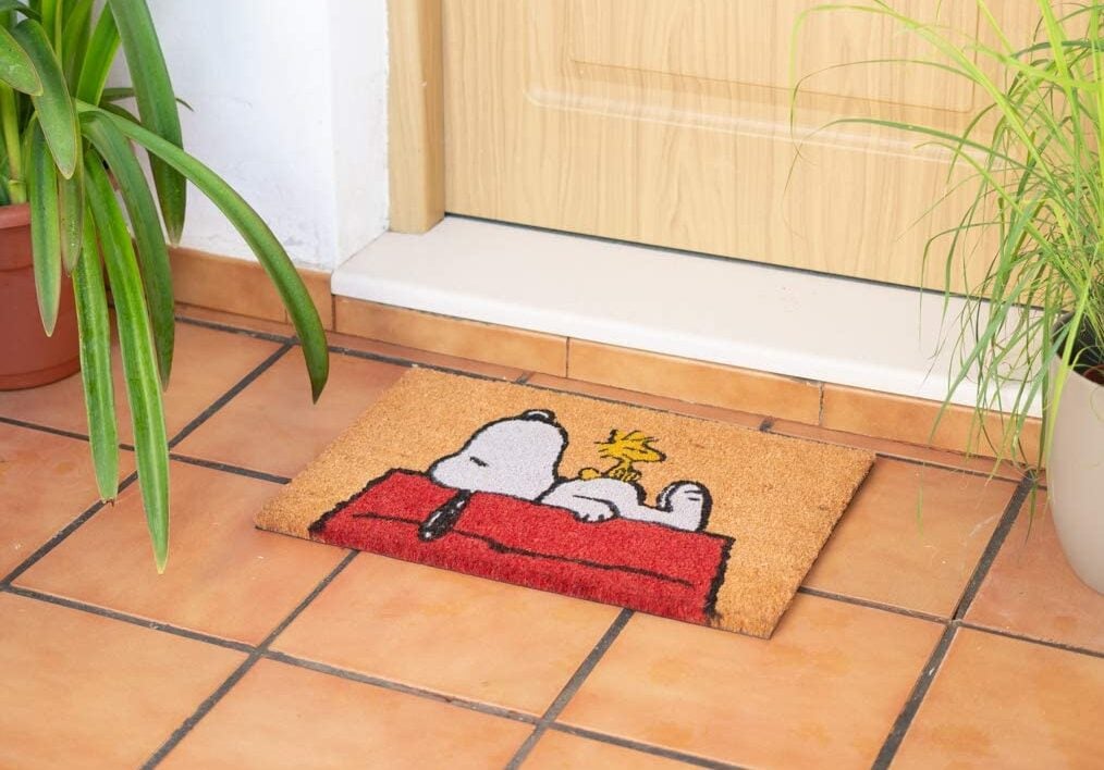 Galleria foto 'Benvenuti a Casa: 6 simpatici zerbini per accogliere i tuoi ospiti!' - foto 7