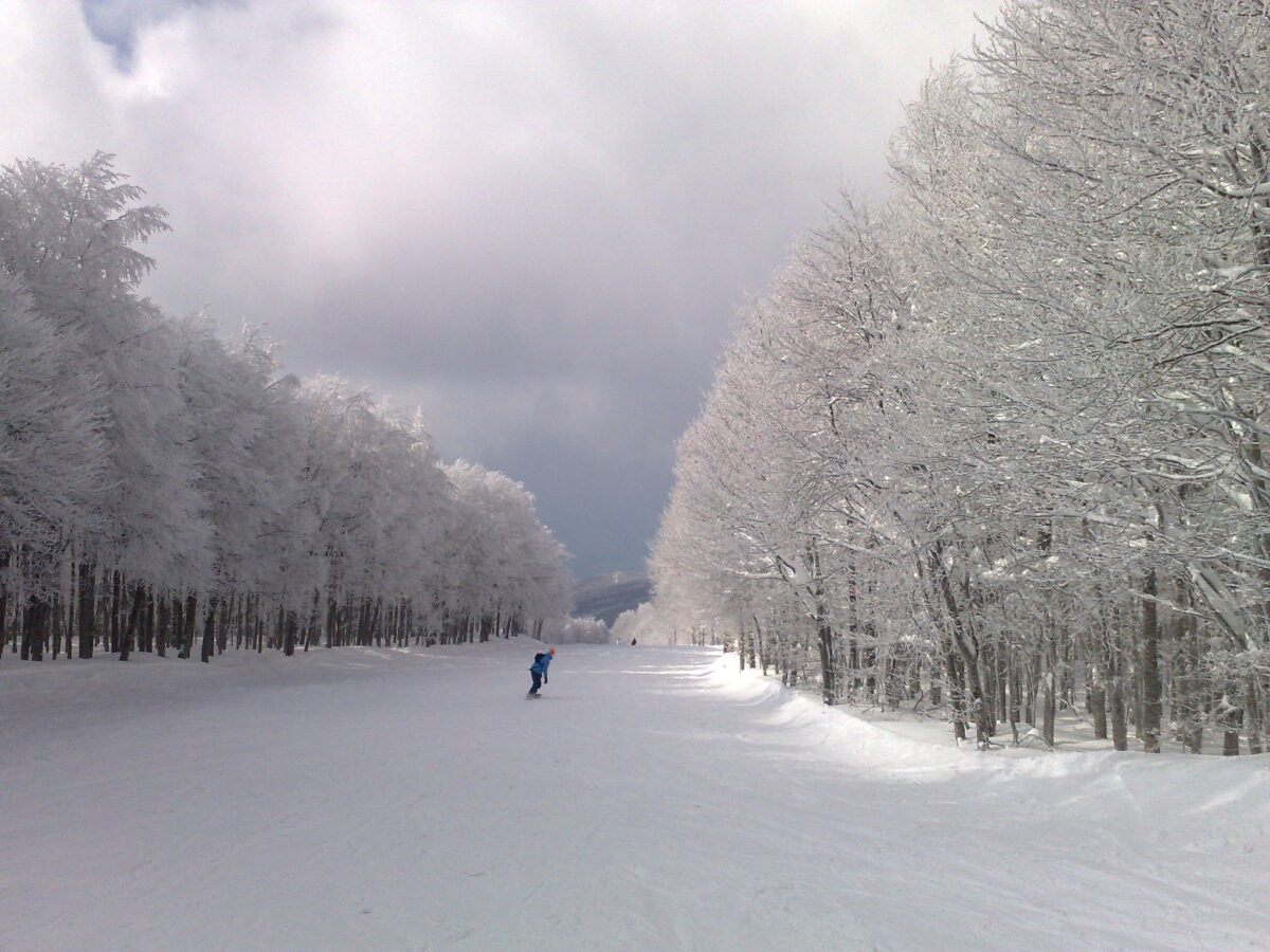 Galleria foto 'Settimana Bianca in Abruzzo: 5 location uniche per una indimenticabile Vacanza sulla Neve' - foto 6
