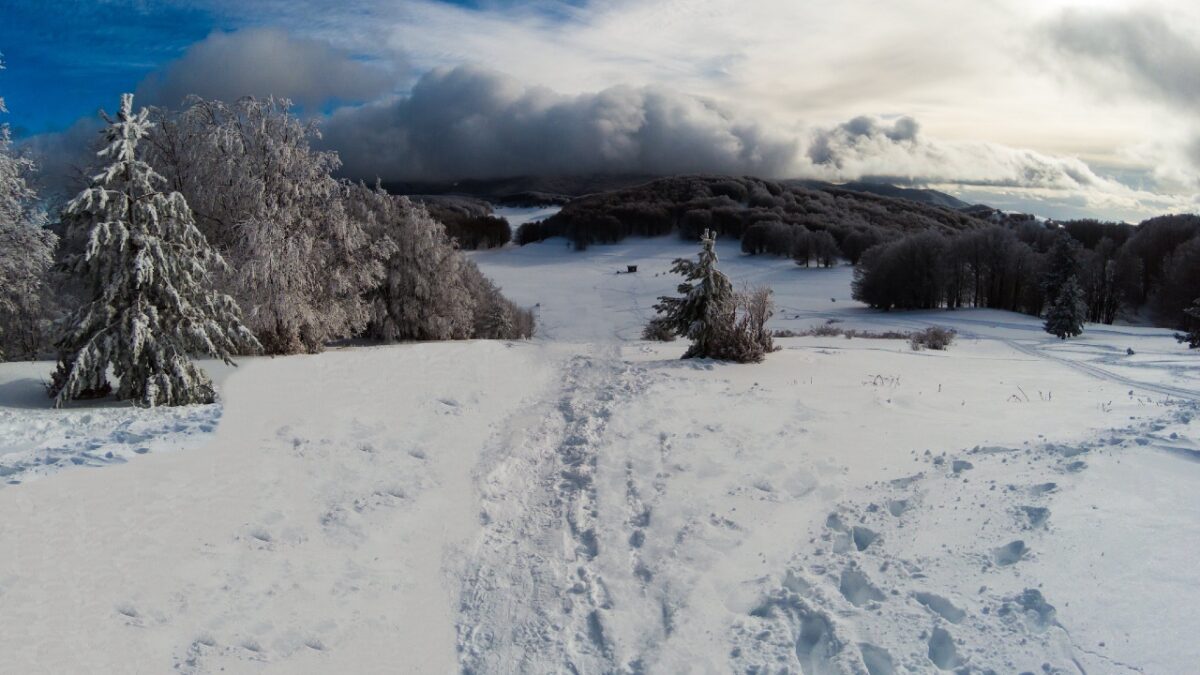 Sila d’Inverno: 5 esperienze da fare assolutamente sull’Appennino Calabro