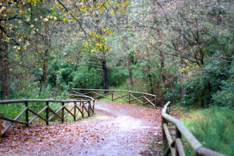 foresta mercandante cassano