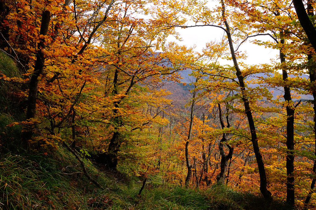 Galleria foto 'Dove Correre in Italia: i 6 migliori percorsi running della Penisola' - foto 3