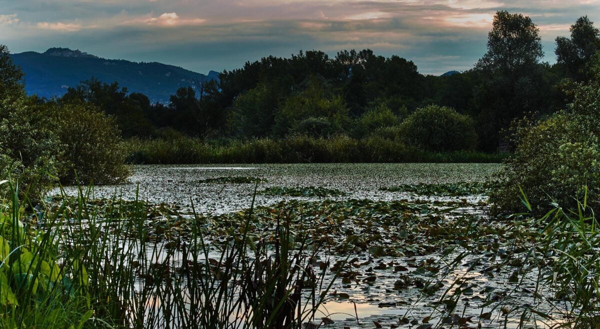 lago di varese palude brabbia