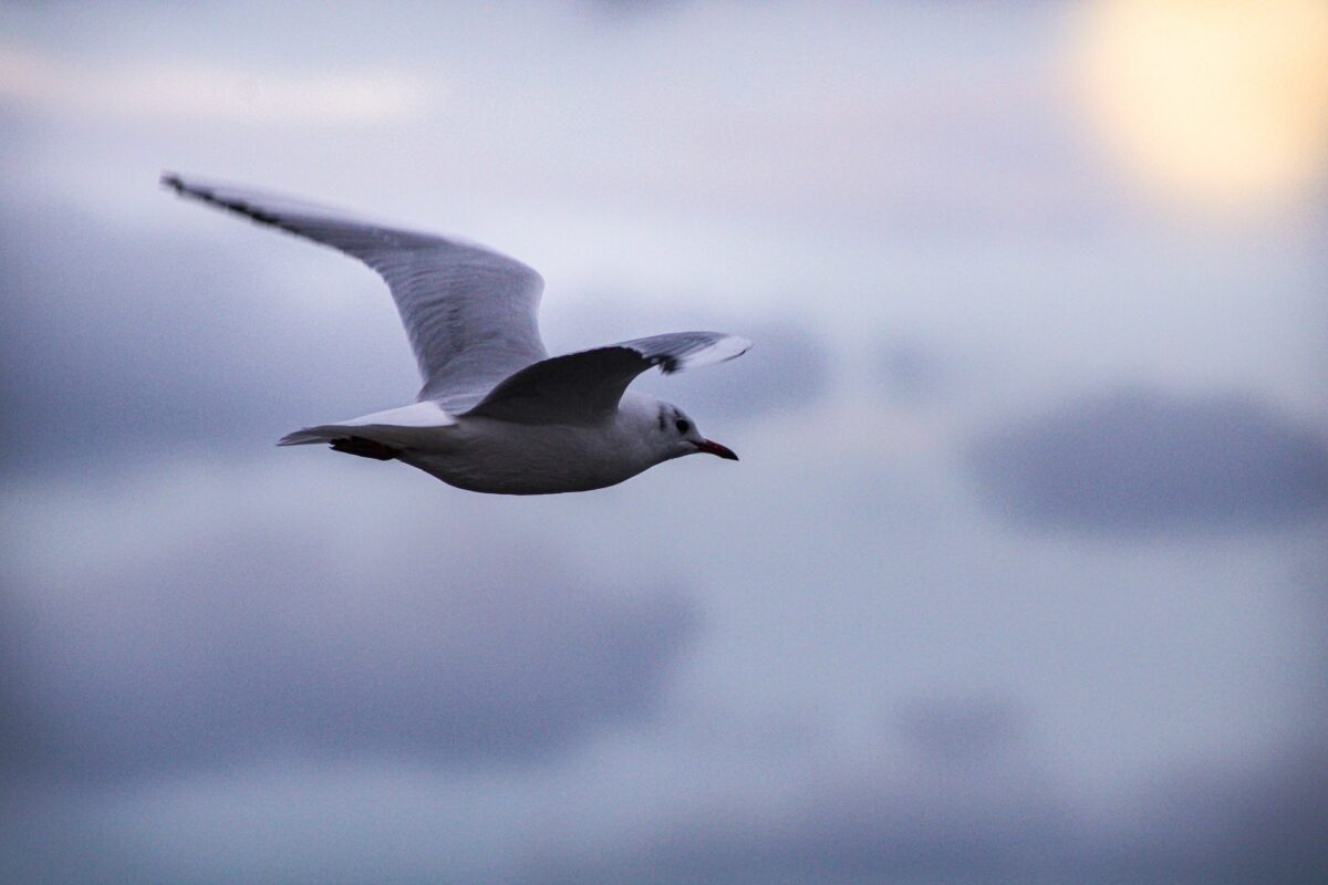 Galleria foto 'Ponti e Festività 2023: 5 occasioni per regalarsi un weekend lungo' - foto 5
