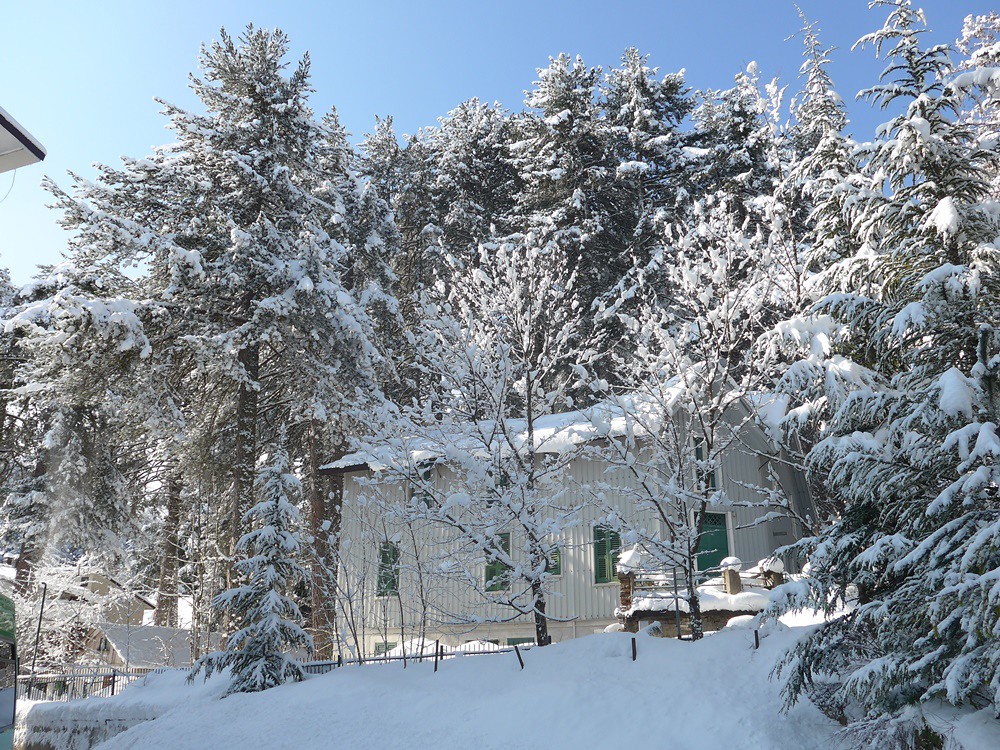 Galleria foto 'Sila d’Inverno: 5 esperienze da fare assolutamente sull’Appennino Calabro' - foto 2