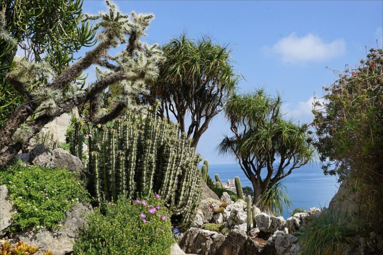 giardino esotico montecarlo