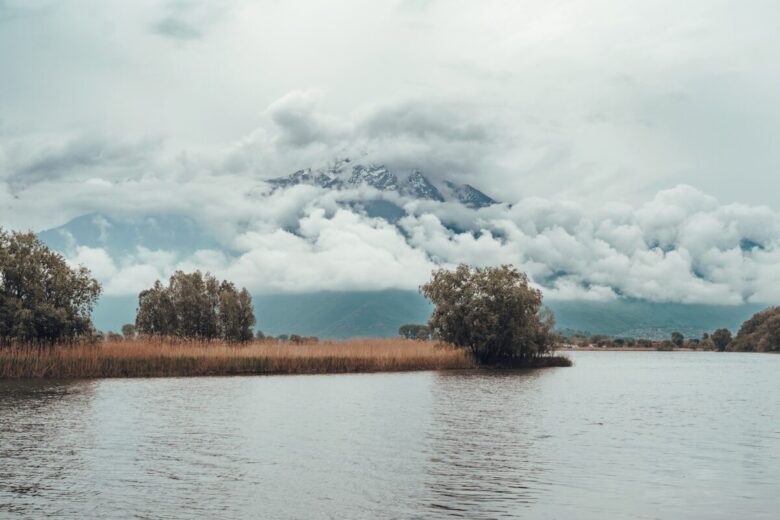 Mezzola lake 