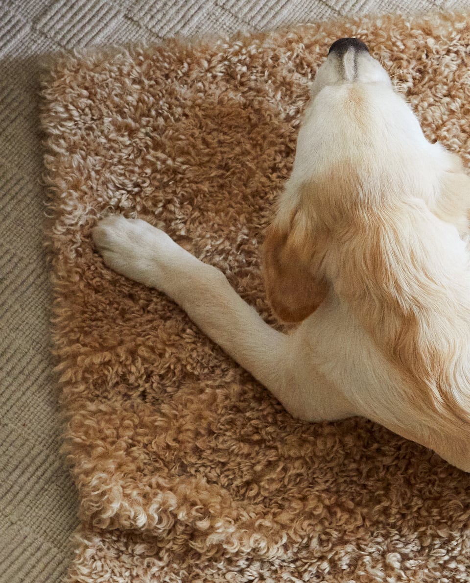 Galleria foto 'Zara Home, Pet Collection: 7 bellissime Cucce e Coperte per il tuo amico a 4 zampe' - foto 3