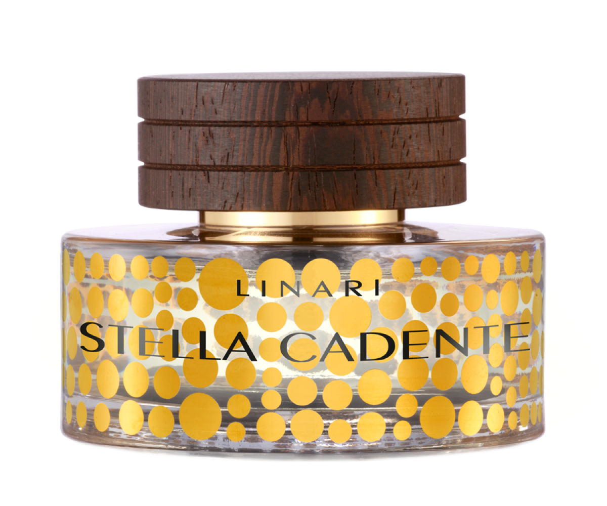 stellacadente