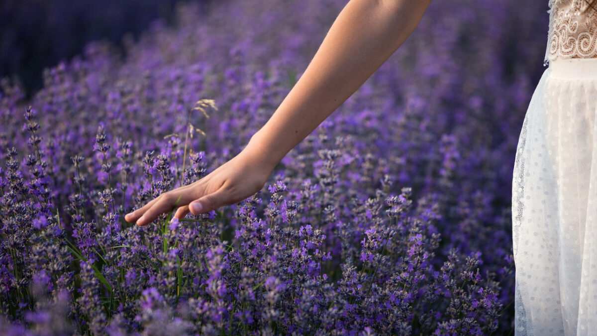 8 Prodotti Beauty all’inebriante profumo di Lavanda. Ecco i più buoni…