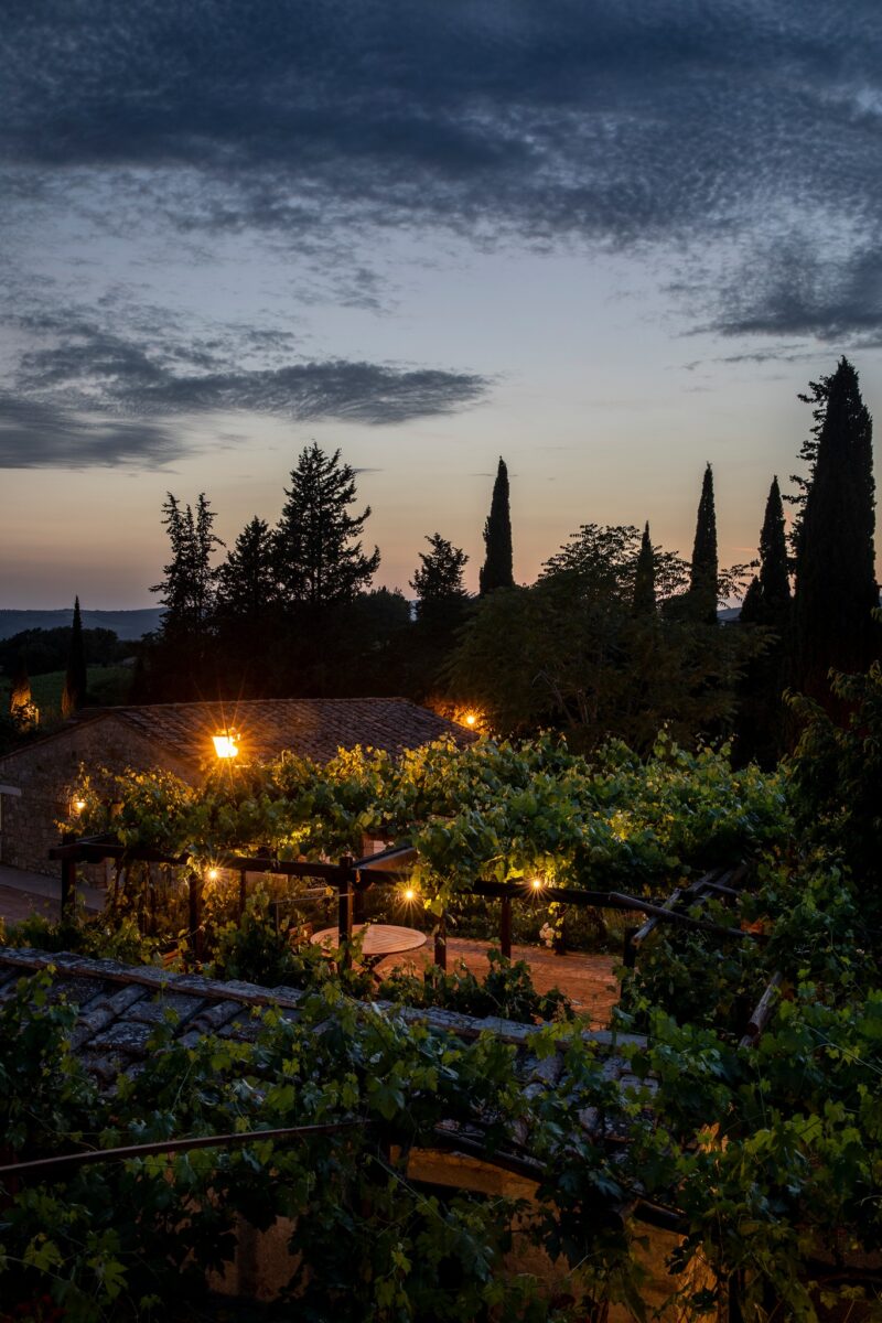 Galleria foto 'Wine Teraphy, 6 esclusive Spa italiane per godere del benessere del Vino' - foto 6