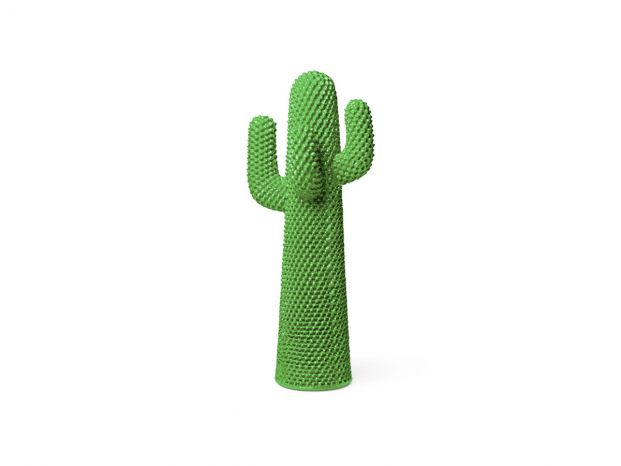 appendiabiti cactus