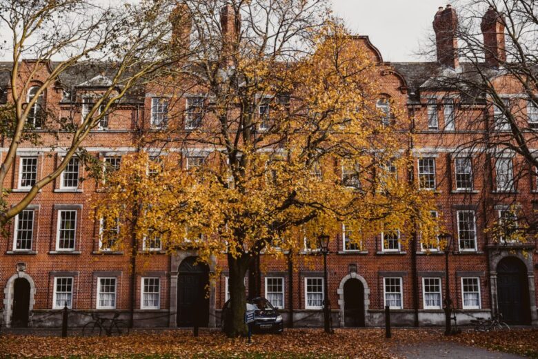 Dublino trinity college