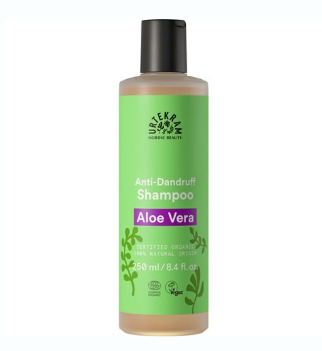 Galleria foto 'Aloe Vera: 5 benefici per Pelle e Capelli che forse ancora non conosci' - foto 2