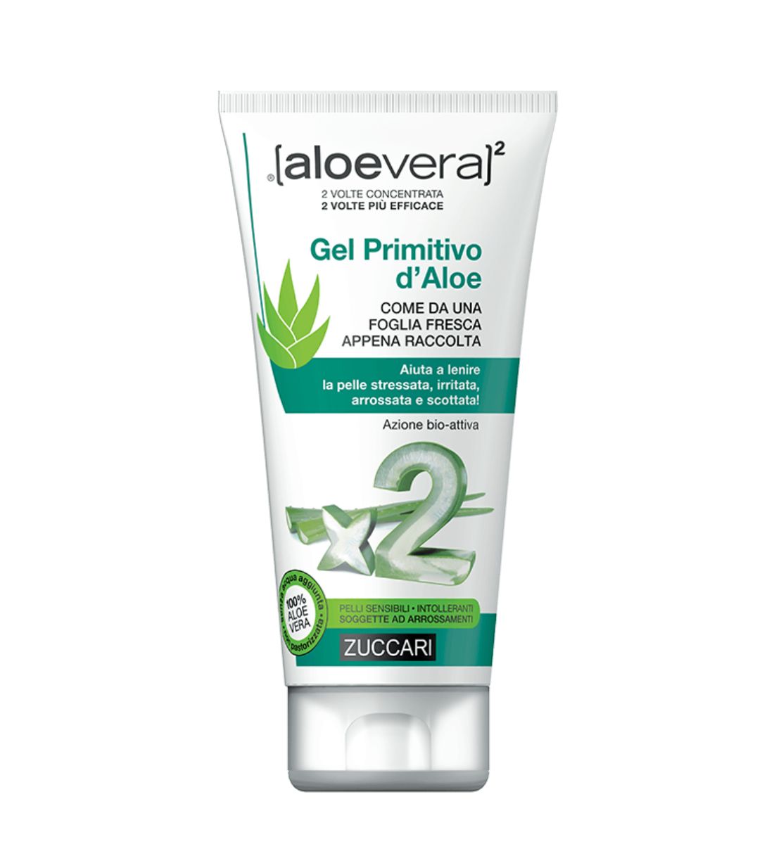 Galleria foto 'Aloe Vera: 5 benefici per Pelle e Capelli che forse ancora non conosci' - foto 4