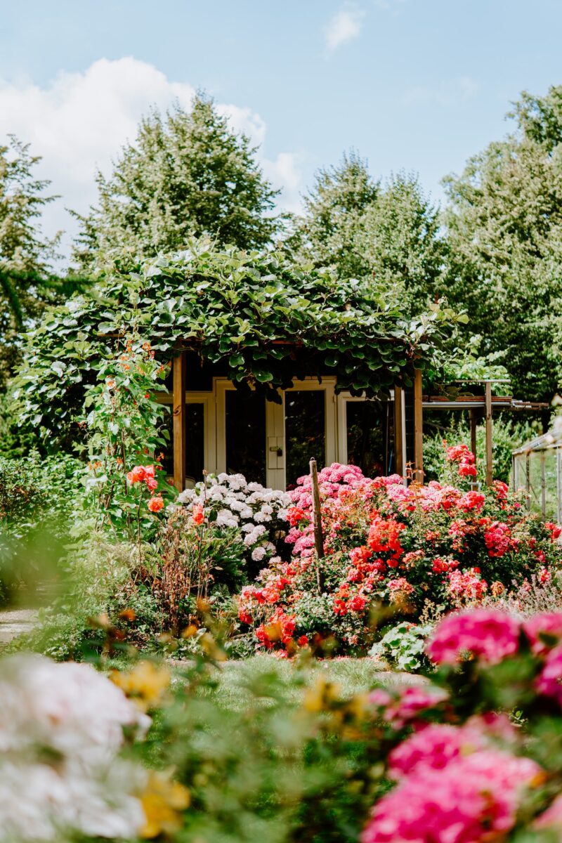 Galleria foto 'Come realizzare un Giardino all’inglese a Casa tua: 5 Consigli imperdibili' - foto 3