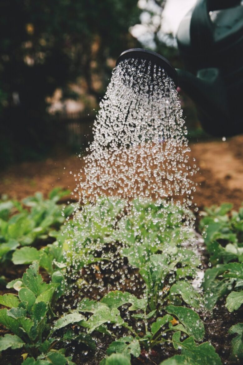 acqua risparmio 