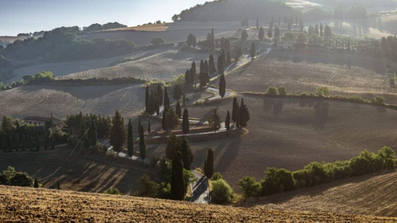 siena casale