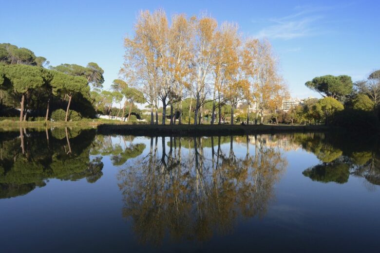 villa ada roma