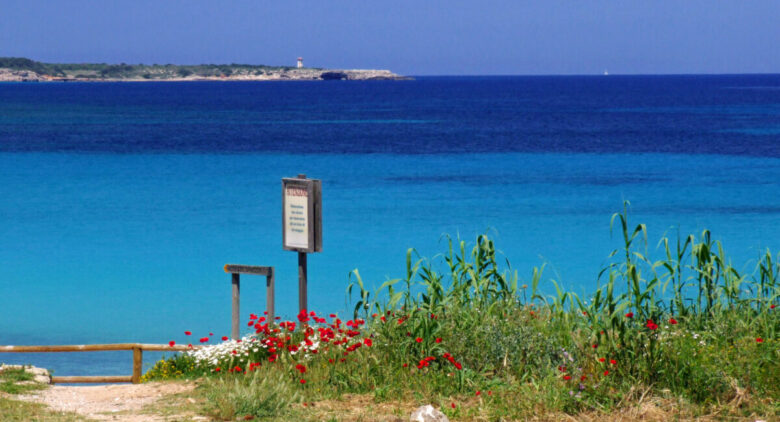 Isole Tremiti, Pianosa