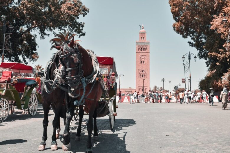 Medina Marrakech