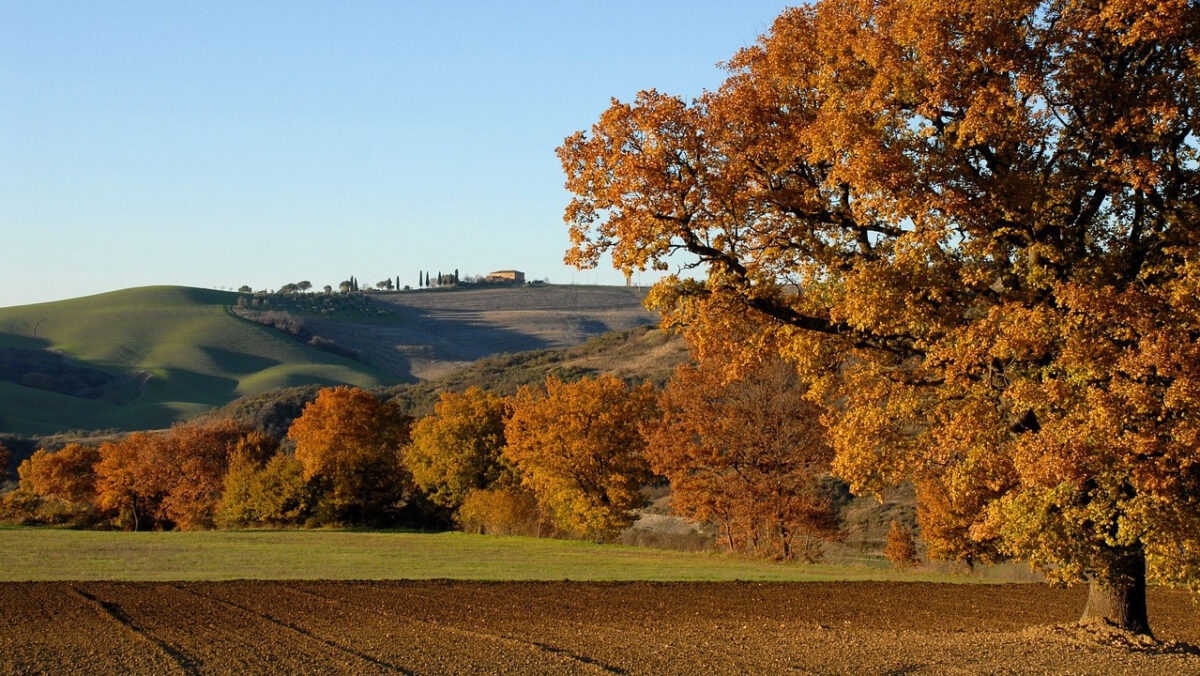 Colli bolognesi, un itinerario in 5 tappe tra borghi e attrazioni uniche